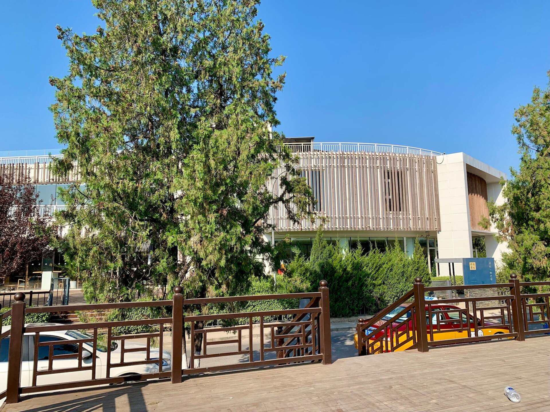 The first week of school at Peide School