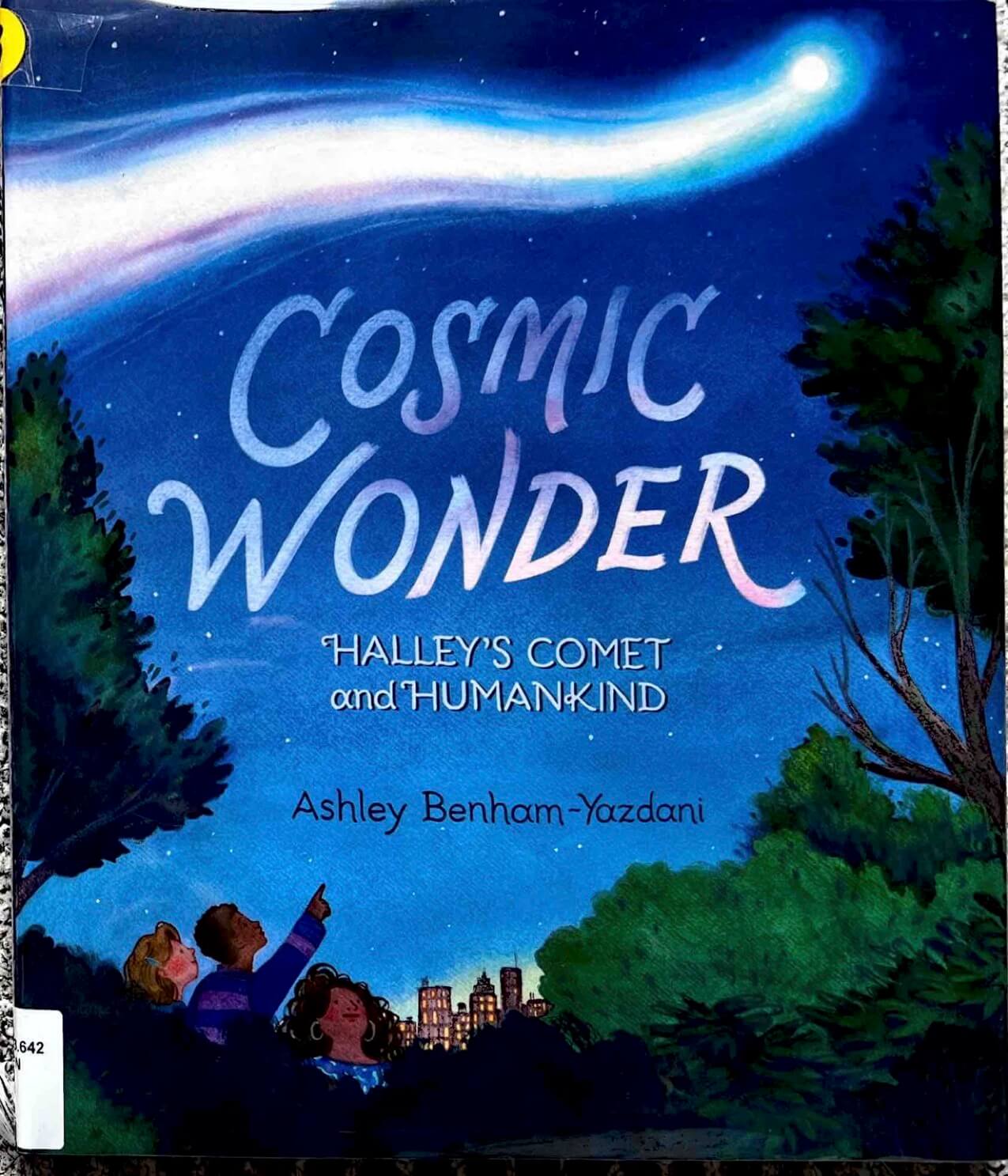 Cosmic Wonder